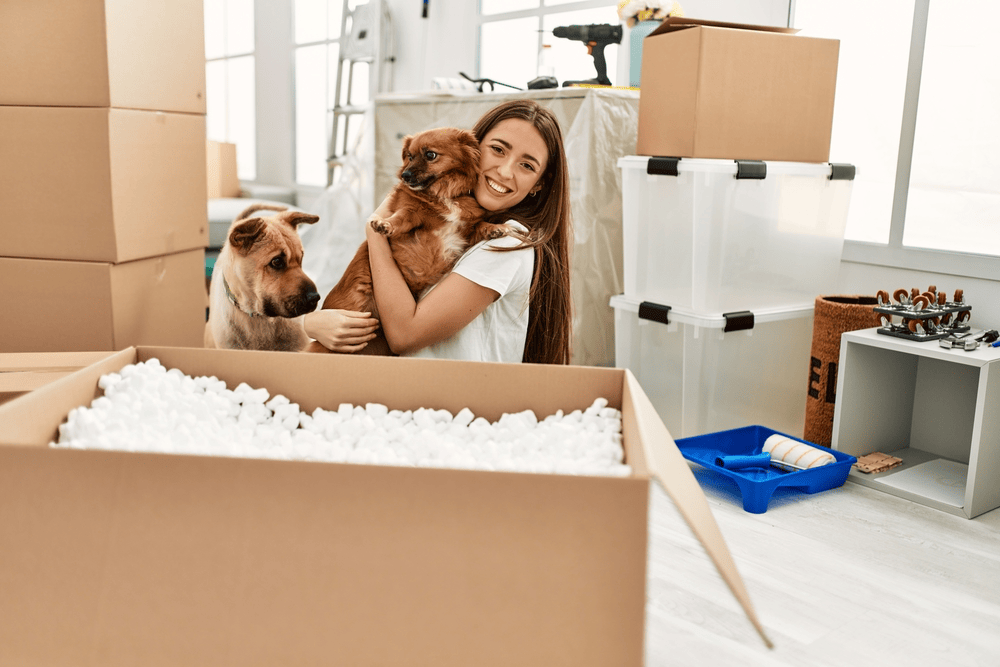 what to do when moving into new house